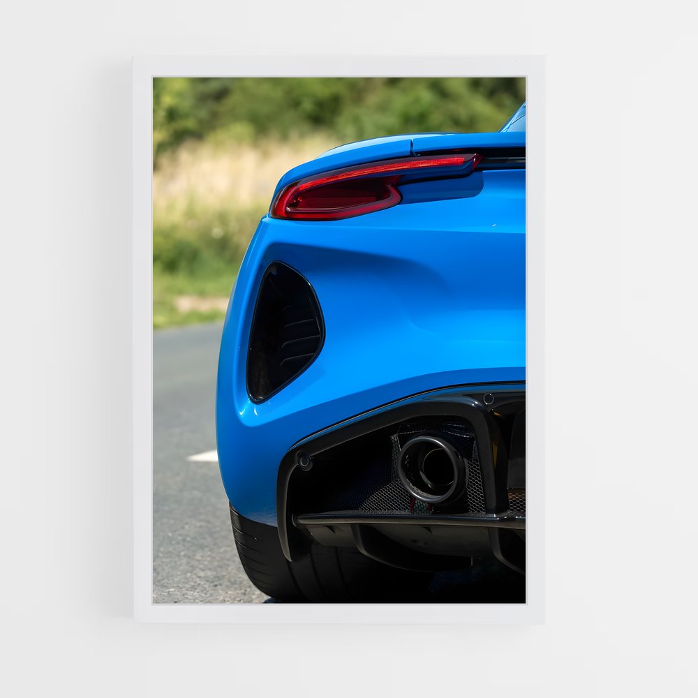 Poster Emira D'un – affiche Lotus (vue 3)